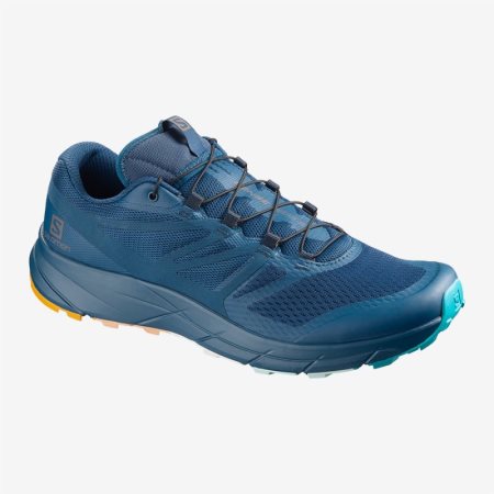 Scarpe Trail Running Salomon SENSE RIDE 2 MMB LIMITED Uomo Blu IT 1-F91